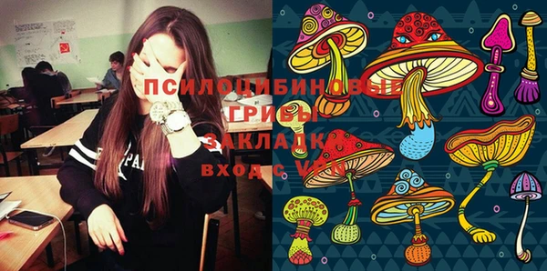 шишки Кстово