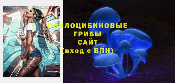 круглые Елизово